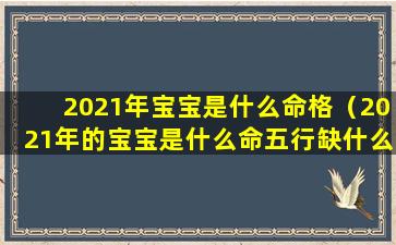 2021年宝宝是什么命格（2021年的宝宝是什么命五行缺什么）