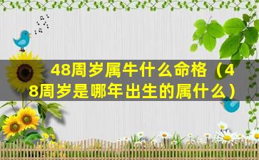 48周岁属牛什么命格（48周岁是哪年出生的属什么）