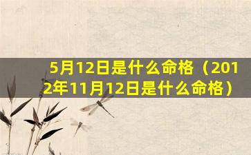 5月12日是什么命格（2012年11月12日是什么命格）