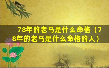 78年的老马是什么命格（78年的老马是什么命格的人）