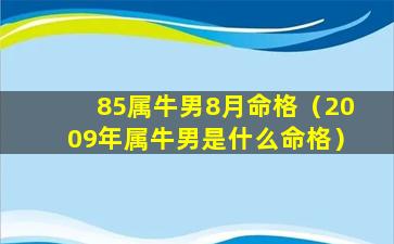 85属牛男8月命格（2009年属牛男是什么命格）