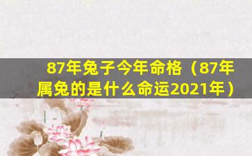 87年兔子今年命格（87年属兔的是什么命运2021年）