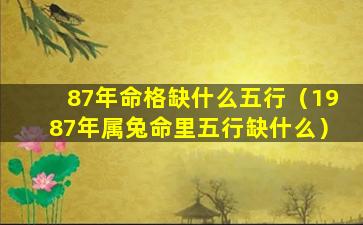 87年命格缺什么五行（1987年属兔命里五行缺什么）