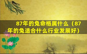 87年的兔命格属什么（87年的兔适合什么行业发展好）