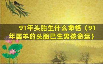 91年头胎生什么命格（91年属羊的头胎已生男孩命运）