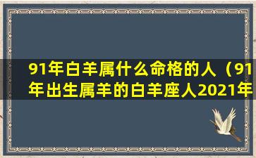 91年白羊属什么命格的人（91年出生属羊的白羊座人2021年运程）