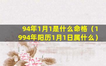 94年1月1是什么命格（1994年阳历1月1日属什么）