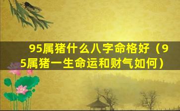 95属猪什么八字命格好（95属猪一生命运和财气如何）