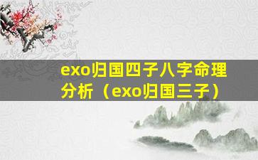 exo归国四子八字命理分析（exo归国三子）