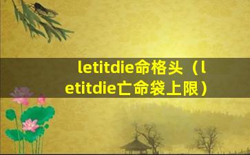 letitdie命格头（letitdie亡命袋上限）