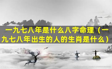 一九七八年是什么八字命理（一九七八年出生的人的生肖是什么）