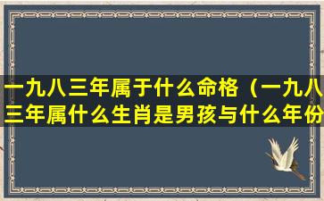 一九八三年属于什么命格（一九八三年属什么生肖是男孩与什么年份的女结合好）