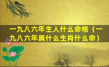 一九八六年生人什么命格（一九八六年属什么生肖什么命）