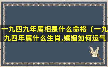 一九四九年属相是什么命格（一九九四年属什么生肖,婚姻如何运气如何）