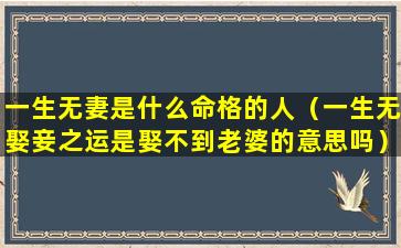 一生无妻是什么命格的人（一生无娶妾之运是娶不到老婆的意思吗）