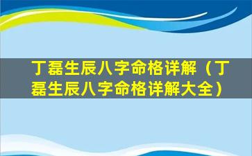 丁磊生辰八字命格详解（丁磊生辰八字命格详解大全）