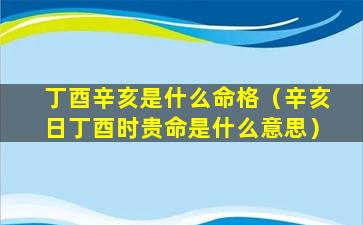 丁酉辛亥是什么命格（辛亥日丁酉时贵命是什么意思）