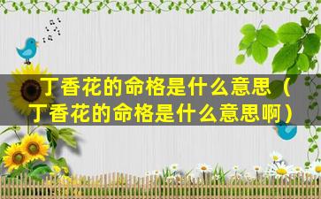 丁香花的命格是什么意思（丁香花的命格是什么意思啊）