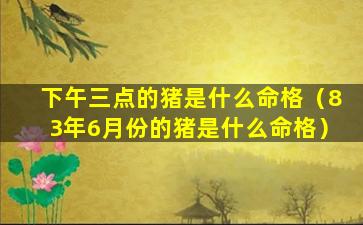 下午三点的猪是什么命格（83年6月份的猪是什么命格）