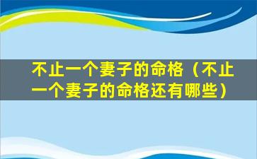 不止一个妻子的命格（不止一个妻子的命格还有哪些）