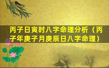 丙子日寅时八字命理分析（丙子年庚子月庚辰日八字命理）