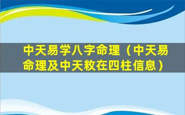 中天易学八字命理（中天易命理及中天敉在四柱信息）