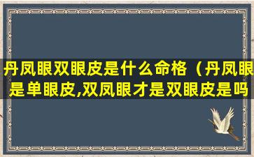 丹凤眼双眼皮是什么命格（丹凤眼是单眼皮,双凤眼才是双眼皮是吗）