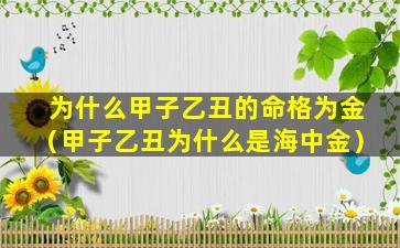 为什么甲子乙丑的命格为金（甲子乙丑为什么是海中金）