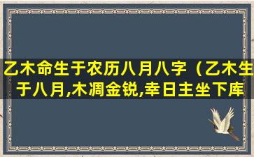 乙木命生于农历八月八字（乙木生于八月,木凋金锐,幸日主坐下库根,干透两）