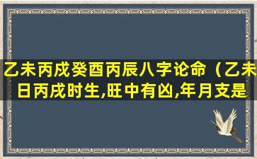 乙未丙戍癸酉丙辰八字论命（乙未日丙戌时生,旺中有凶,年月支是卯午未戌,命主显贵）