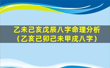 乙未己亥戊辰八字命理分析（乙亥己卯己未甲戌八字）