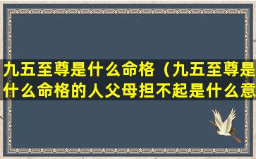 九五至尊是什么命格（九五至尊是什么命格的人父母担不起是什么意思）