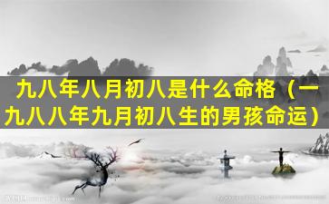 九八年八月初八是什么命格（一九八八年九月初八生的男孩命运）