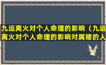 九运离火对个人命理的影响（九运离火对个人命理的影响对属猪的人的影响）