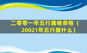 二零零一年五行属啥命格（20021年五行属什么）