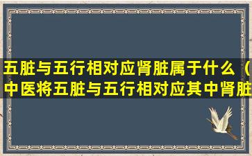 五脏与五行相对应肾脏属于什么（中医将五脏与五行相对应其中肾脏属于什么）