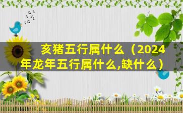 亥猪五行属什么（2024年龙年五行属什么,缺什么）