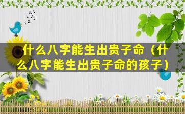 什么八字能生出贵子命（什么八字能生出贵子命的孩子）