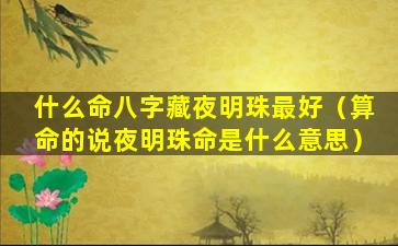 什么命八字藏夜明珠最好（算命的说夜明珠命是什么意思）