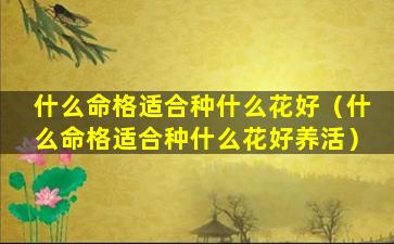 什么命格适合种什么花好（什么命格适合种什么花好养活）