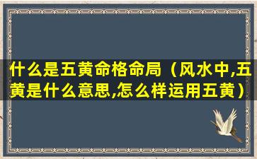 什么是五黄命格命局（风水中,五黄是什么意思,怎么样运用五黄）