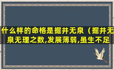 什么样的命格是掘井无泉（掘井无泉无理之数,发展薄弱,虽生不足,难酬志向）