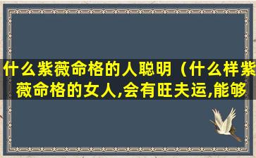 什么紫薇命格的人聪明（什么样紫薇命格的女人,会有旺夫运,能够夫荣子贵）