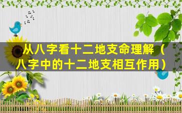 从八字看十二地支命理解（八字中的十二地支相互作用）