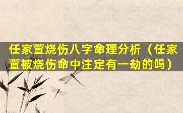 任家萱烧伤八字命理分析（任家萱被烧伤命中注定有一劫的吗）