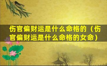 伤官偏财运是什么命格的（伤官偏财运是什么命格的女命）