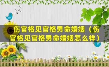 伤官格见官格男命婚姻（伤官格见官格男命婚姻怎么样）