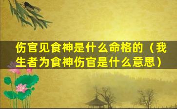 伤官见食神是什么命格的（我生者为食神伤官是什么意思）