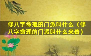 修八字命理的门派叫什么（修八字命理的门派叫什么来着）