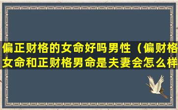 偏正财格的女命好吗男性（偏财格女命和正财格男命是夫妻会怎么样）